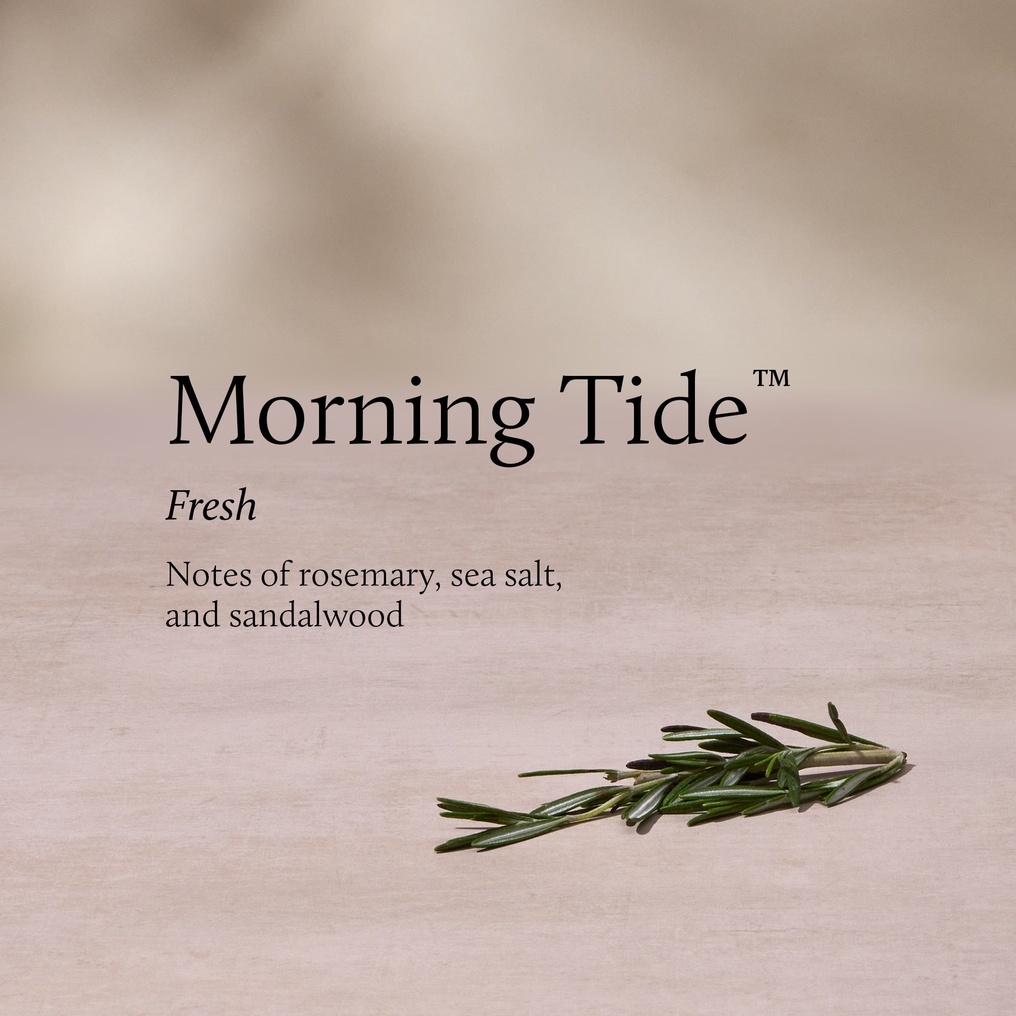 Morning Tide Petite Reed Diffuser - Image 3